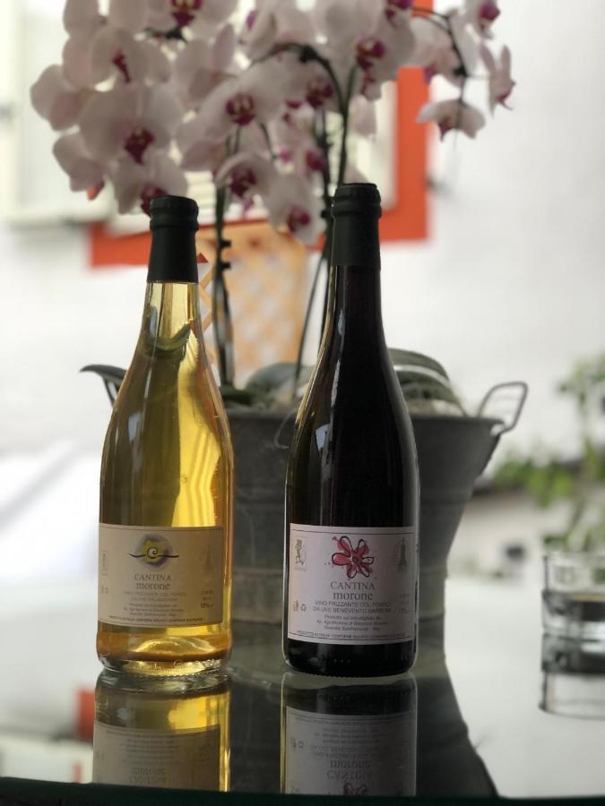 Agriturismo Cantina Morone Guardia Sanframondi 外观 照片