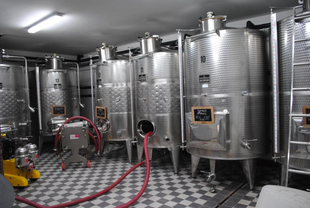 Agriturismo Cantina Morone Guardia Sanframondi 外观 照片