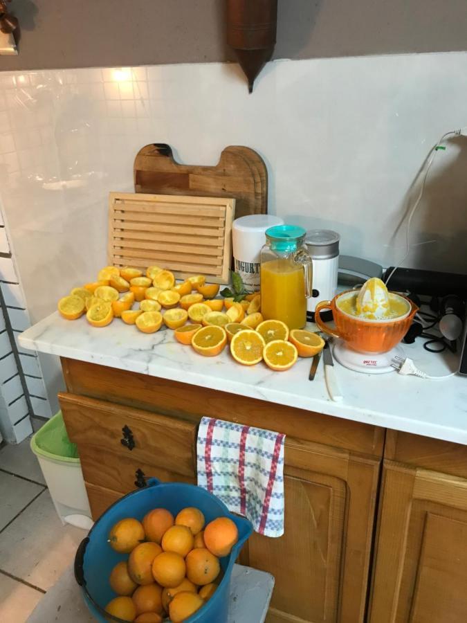 Agriturismo Cantina Morone Guardia Sanframondi 外观 照片